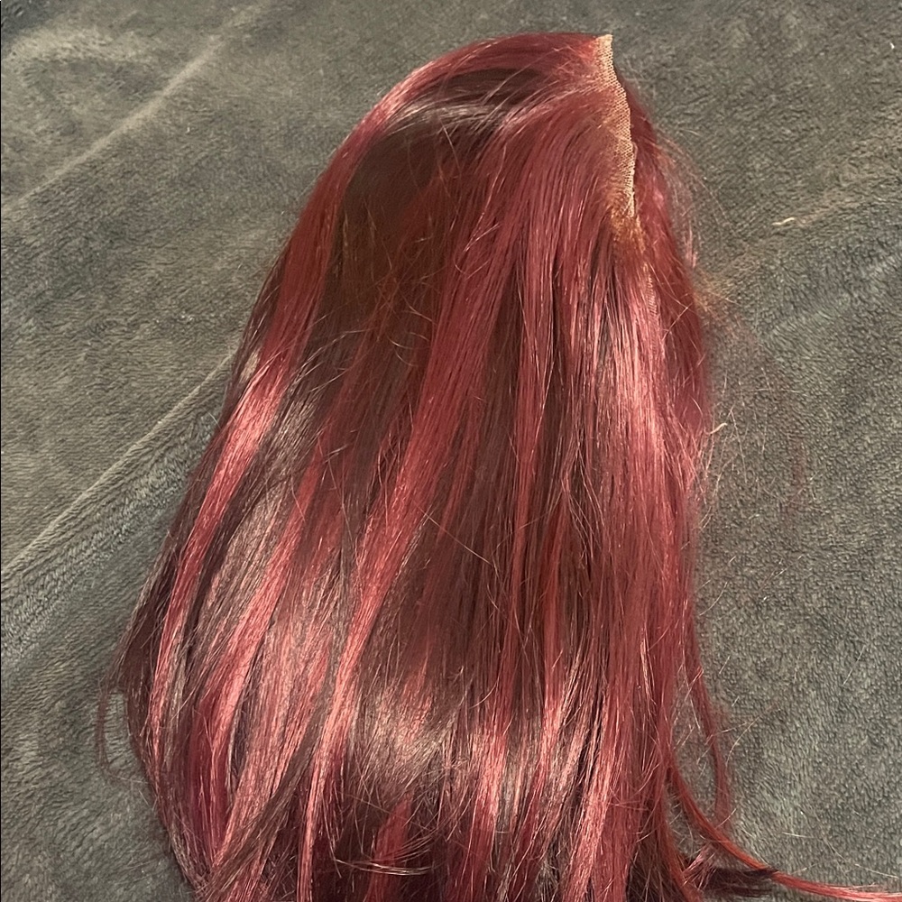 Rich Burgundy Hair Extension